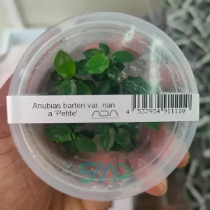 Aquatic Plants Online