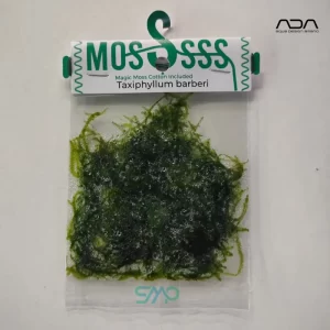 ZP812 Java Moss | ADA Pack
