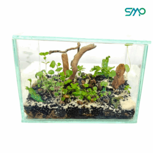 Rectangle Glass Terrarium