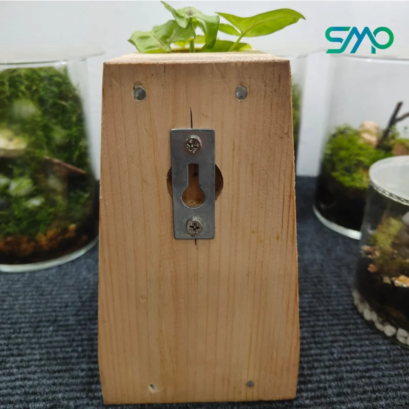 Hangable Conical Flask Wooden Planter with Plant | SMP - Image 3