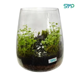 Jar terrarium