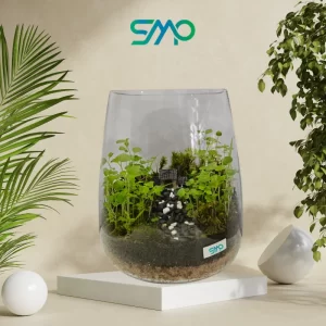 Terrariums in Bangalore