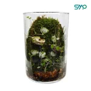 Jar Terrarium