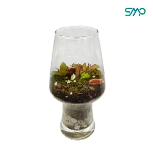 Wine Goblet Terrarium