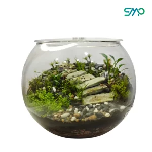 Bowl Terrarium