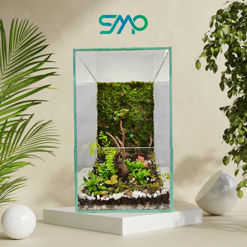 Beautiful terrariums