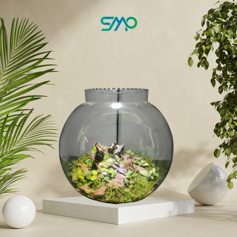 Big Bowl Terrarium