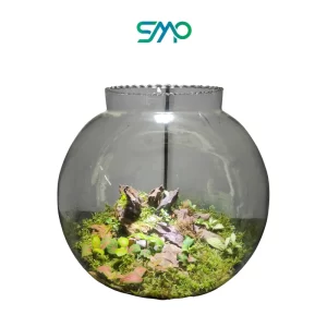 Bigger Bowl terrarium