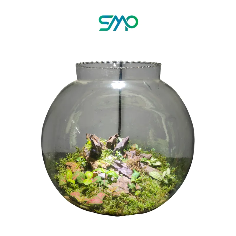 Bowl Terrarium