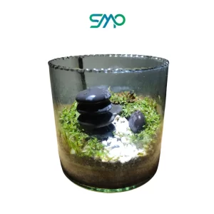 Small Terrarium