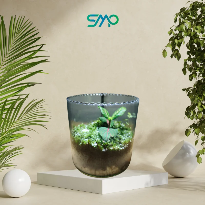 TR0012 | Small Glass Jar Terrarium | SMP - Image 2