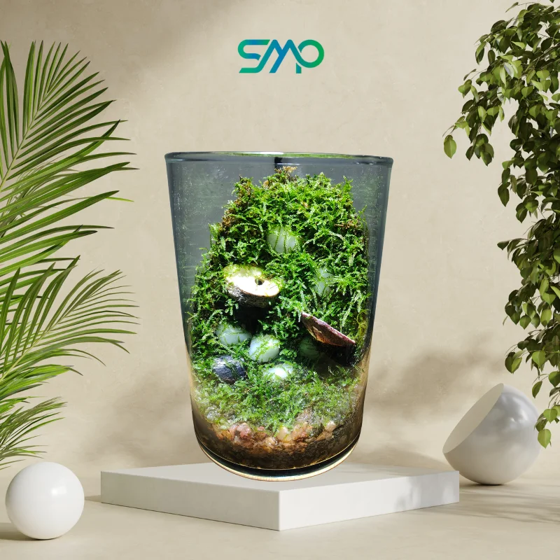 Glass Terrarium gifts