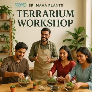 Terrarium Workshop in Bangalore