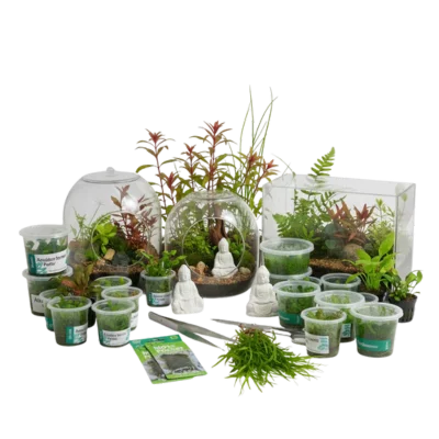 Aquatic and terrarium Plants Online